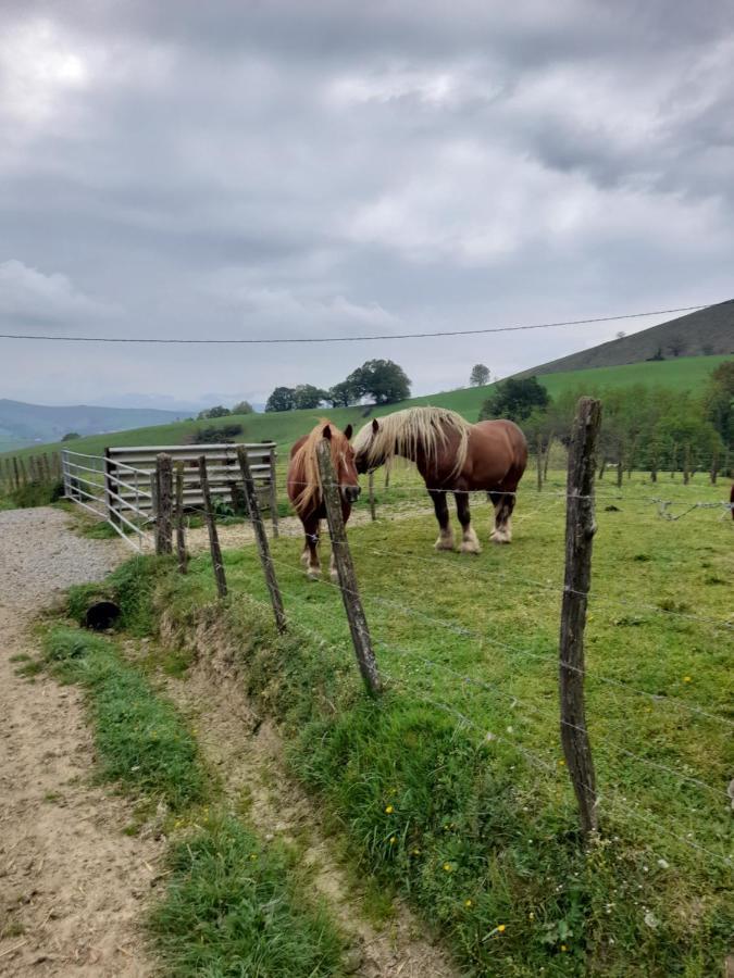 Gite A La Ferme Larranda Suhescun Exterior foto